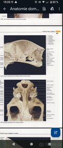 VŠ Skripta v PDF formátu - ČZU, Veterina, Ekonomie - 16