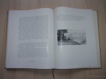 BOŽENA NĚMCOVÁ - BABIČKA - vydáno r. 1916 + 1 kniha darem - 16