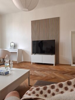 Instalatér, Hodinový manžel, Malíř - Petr Tůma - 16