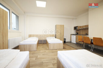 Pronájem ubytovacího zařízení, 300 m², Dalovice, Botanická - 16