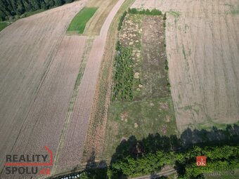 Prodej, pozemky/bydlení, 3000 m2, Lično , Bačalky, Jičín [ID - 16