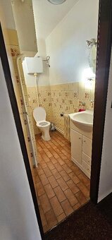 Prodej rodinného domu 169 m², pozemek 2003 m² Alojzov - 16