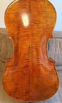 Krásné violončelo - 16