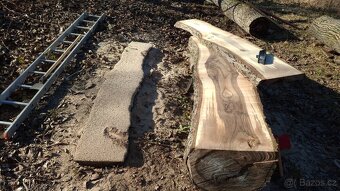 Pořez kulatiny přenosným katrem v místě kácení - 16