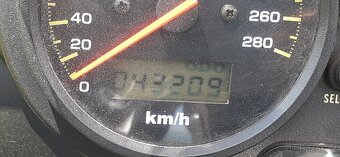 FZS 1000 - 16
