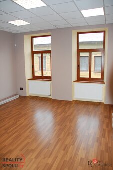 Prodej, domy/rodinný, 505 m2, Plzeňské Předměstí, 33701 Roky - 16