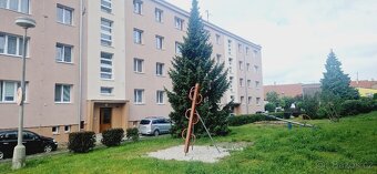 Pronájem, byt 2+1, 58m2, ul. Na Výsluní, Kralovice - 16