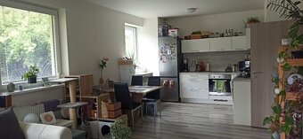 Pronájem 2+kk, A. Rašína Olomouc - 16