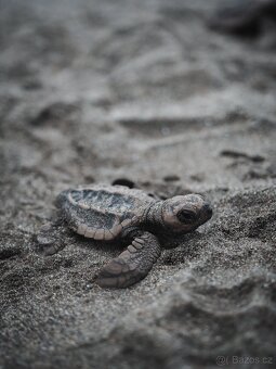 Fotoaparát Olympus PEN + objektivy - 16