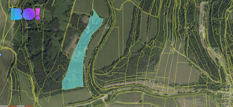 Souhrn lesních pozemků Pěčíkov u Městečka Trnávky - 16