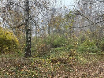 Údržba zahrad - 16