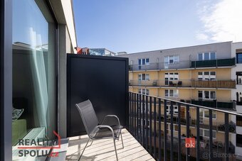 Pronájem, byty/1+kk, 31 m2, Železná 3061/12, Jižní Předměstí - 16