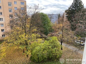 Prodej bytu 1+kk 24 m2 Jabloňová, Praha - Záběhlice - 16