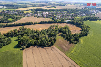 Prodej lesa, 2252 m², Horka nad Moravou - 16