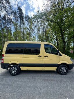 Sprinter 9 mist - 16