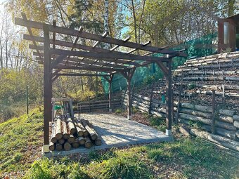 Zahrada (365m2) s chatou (16 m2), pergolou a kolnou - Tachov - 16