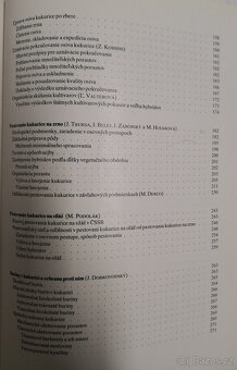 Kukurica - 16