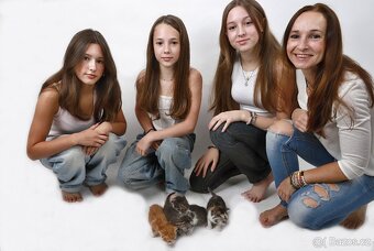 FOTOGRAFOVÁNÍ domácích mazlíčků - 16