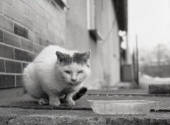 Hasselblad 500 C/M Konvolut – středoformátový set se 3 skly - 16