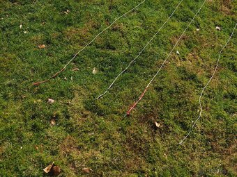 Kite Duotone Rebel 2019 12 m + bar,leash, pumpa - 16