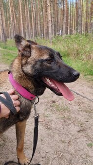 FREYA K ADOPCI - dokonalá parťačka - 16