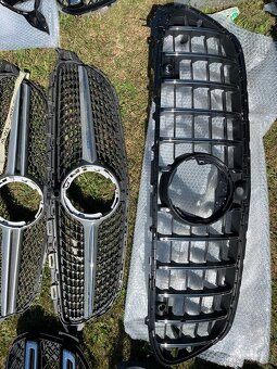 Mercedes-Benz Přední masky - 16