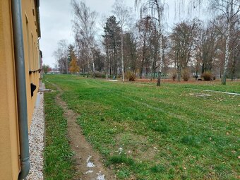 Prodej bytu 3+1,Riegerova ulice, Cheb - 16