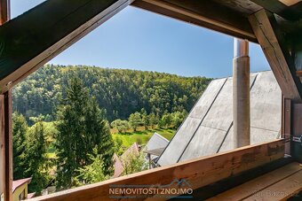Prodej rekreační chaty, pozemek 427m2, Podhradí nad Dyjí - 16