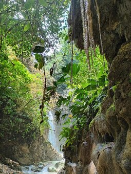 Farmy Kostarika Rio Claro - 16