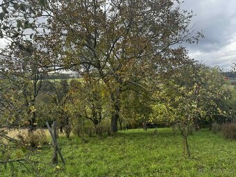 🌿 Prodej zahrady-sadu 1 872 m² – Soběchleby, okres Přerov - 16