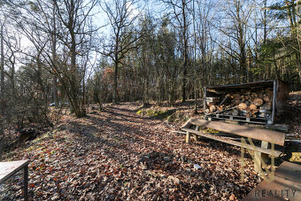 Prodej, chata 33 m², Hracholusky - Čerňovice - 16