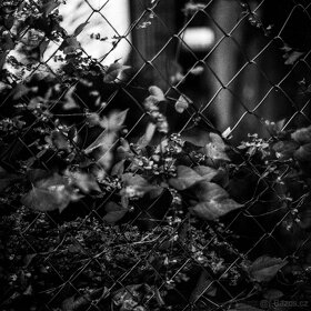 Rolleiflex 2,8 E - Model K7E - 16