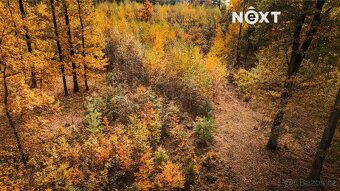 Prodej pozemek Lesy, 10398㎡ - 16