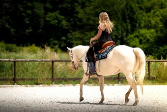 Cremello klisnička s odznaky s reining/cutting původem - 16