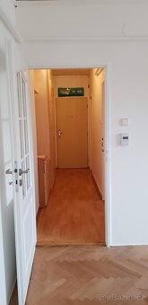 Pěkný, klidný byt ve Slavkově u Brna - 16