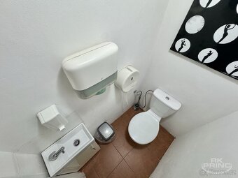 Prodej RD, 179m2 na pozemku 332m2, Benátky nad Jizerou - 16