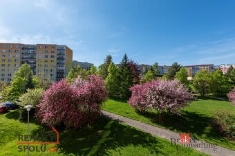 Prodej, byty/3+1, 63 m2, Kralovická 1433/15, Bolevec, 32300  - 16