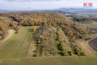 Prodej ovocného sadu, 1397 m², Kostelec u Holešova - 16