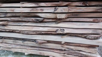 Jilmové suché fošny, sušeno 5,5 roku - 16