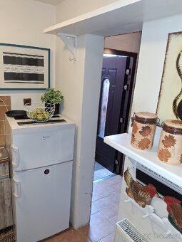 PRONAJMU KRÁSNÝ A SLUNNÝ ZAŘÍZENÝ BYT S VENKOVNÍM POSEZENÍM - 16