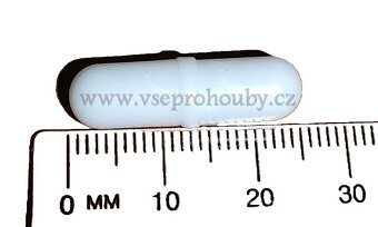 Sadba - Hlíva ústřičná, plicní, modrá, růžová, královská - 16