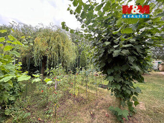 Prodej zahrady, 1044 m², Vintířov u Radonic - 16