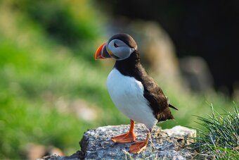 Nikon D7200 + 4 objektivy - 16