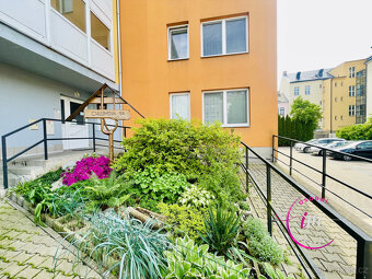 Prodej bytu 2+1 s terasou Jihlava, Chlumova - 16