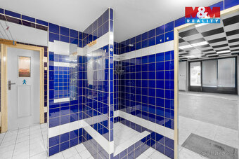 Pronájem multifunkčního objektu 350 m² s pozemkem 1658 m² - 16