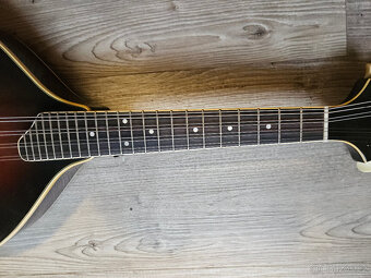 Celomasivní mandolína FURCH Ma 2 A - 16