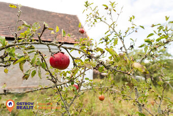 Prodej, rodinný dům, pozemky 11145 m2, Chlum - 16