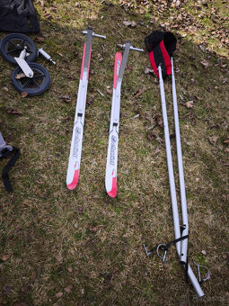 Vozík Thule Chariot CX1 - 16