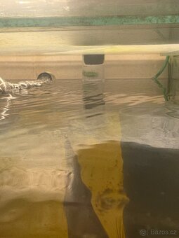 Akvarijní stojan 10x 110l - nabídněte - 16