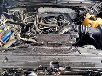 Ford F150. Fx4 V8 5.0 - 16